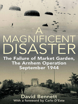 cover image of A Magnificent Disaster